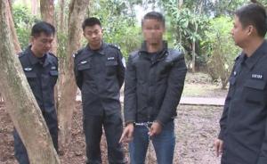 云南三男子盗窃中科院估值36万黄花梨树，各获刑8年