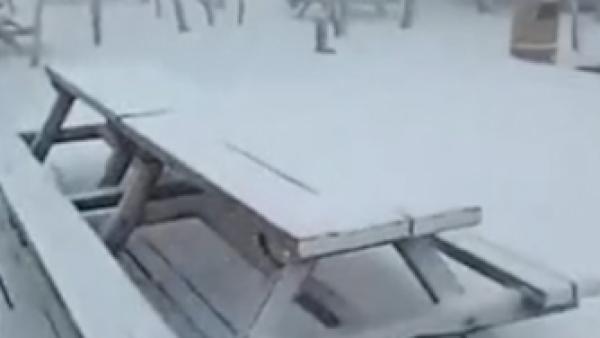 奇景!黑龙江五常凤凰山6月漫天飞雪