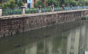 上海一小河发臭泛黑河面漂车轮，官方称将加快雨污混接改造