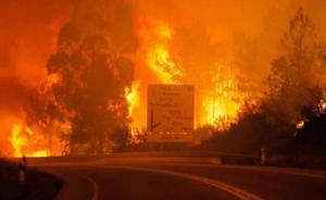 葡萄牙森林火灾已致43死59伤：死亡人数或将攀升