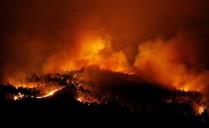 葡萄牙森林大火已致58人死亡，至少18人系驾车逃生时遇难