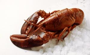 意大利一餐馆把活龙虾放冰块上保鲜，因涉虐待动物被罚两千欧