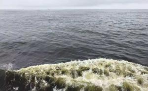 宁波海域出现有毒赤潮，抽检贝类符合标准但已停止采捕