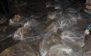 湖南查获一起非法经营蛇类案，涉及蛇类4000多斤