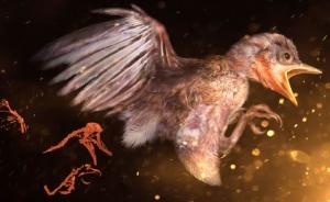 首件琥珀雏鸟标本抵沪展出，系迄今最完整的古鸟类化石