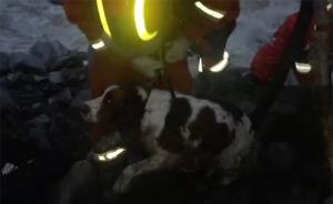 茂县垮塌：救援人员跨河夜运搜救犬