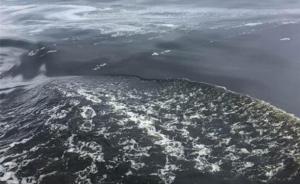 浙江象山海域赤潮处消亡阶段，无食用水产品中毒现象