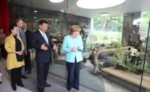 习近平同默克尔共同出席柏林动物园大熊猫馆开馆仪式