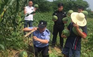 武汉民警直播帮空巢瓜农卖瓜引争议，回应质疑：我应尽的责任