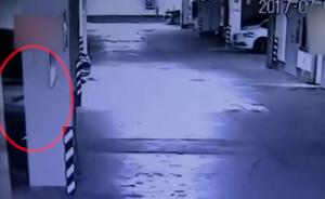 家长禁玩王者荣耀，少年划29辆车泄愤