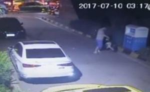 视频｜西安一男子凌晨当街反复摔打小猫，塞入外卖箱后离开
