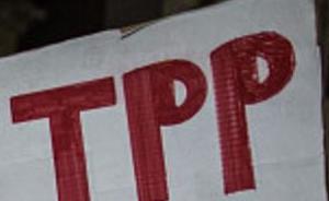 TPP11国在日本商讨美国退出后如何修改协议以尽快生效