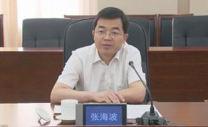 张海波任山东威海市委副书记，张惠不再担任