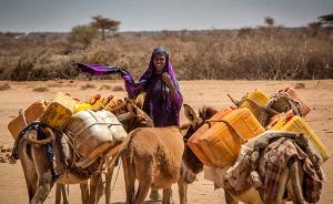 谁是下一位气候难民：“非洲之角”索马里兰孕妇因干旱流产