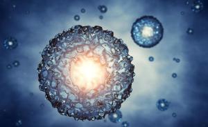 深大学者捕获细胞核中最短特异DNA图像，可用于癌症检测