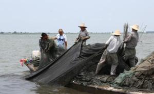 湖北第一大湖洪湖结束人工围网养殖历史，渔民将“洗脚上岸”