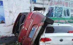 山东临沂警方通报两车“斗气追逐”致人畜死亡案：4人被刑拘