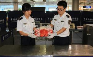 吃货入境：宁波口岸行李中截获6斤多重活龙虾，还有熟蜘蛛蟹