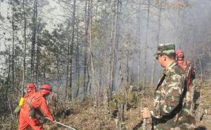 云南香格里拉市长救火全身18%烧伤，表示这都是分内的事
