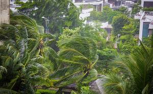 台风“桑卡”今日夜间或登陆海南，中心附近最大风力8-9级