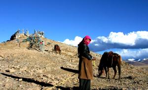 西藏实现涉农补贴直达个人账户：涉及4.5万户，金额12亿