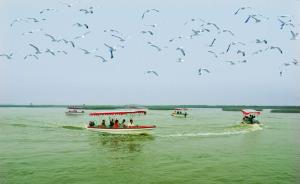 七里海保护区建公园，中央环保督察：天津海洋国土部门有责