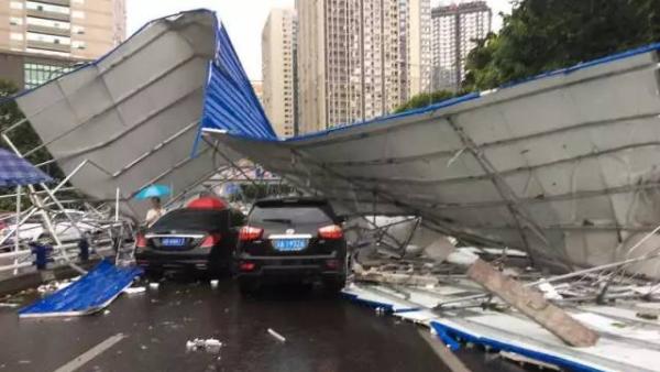 狂风暴雨袭重庆：大树连根拔，多车被砸