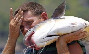 亚洲鲤鱼泛滥成灾难解决，美国密歇根州悬赏70万美元求方案