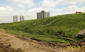 恶臭垃圾场将变身生态绿地，上海嘉定将建回字形爬坡步道