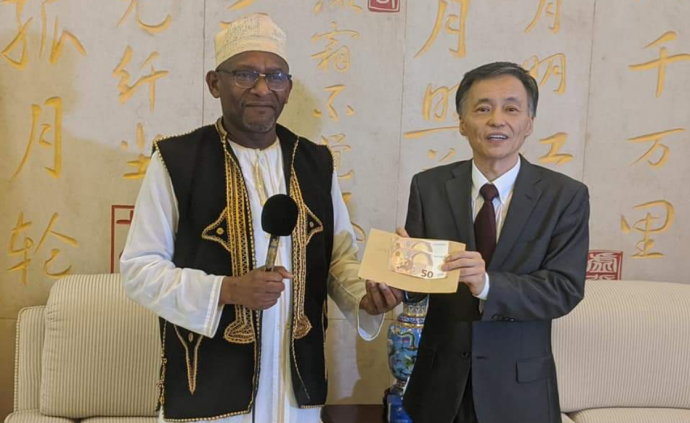 非洲岛国科摩罗友协捐助一百欧元支援中国“抗疫”背后的故事