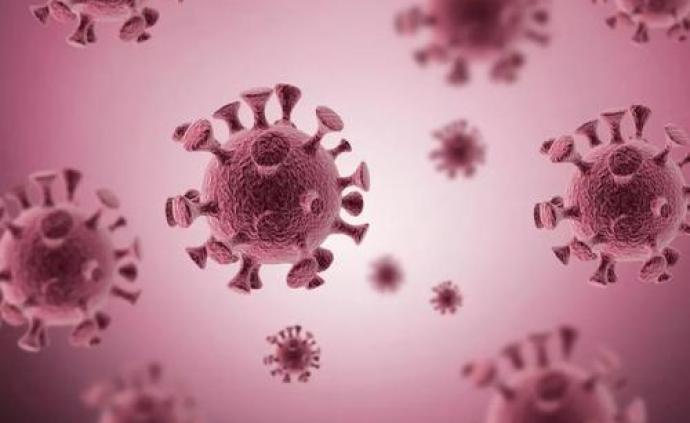 8866例新冠病毒感染分析：基本传染数3.77，死亡率3.06%