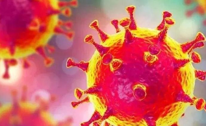 新型冠状病毒无孔不入，如何才能预防？