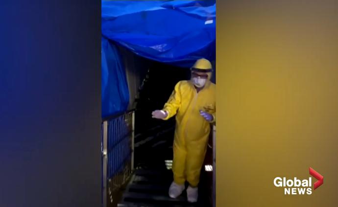 被困12日,郵輪上美國夫婦下船全程記錄