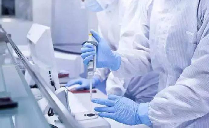 生物股份：子公司P3实验室将开展非洲猪瘟相关疫苗研究工作