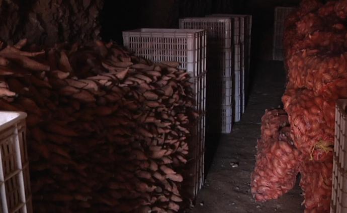 400万斤红薯滞销 ，官员称将确保运输畅通