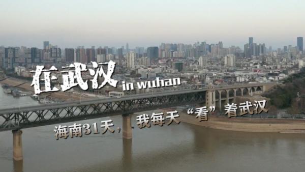 在武汉 | 漂泊一月，“我是想回家的武汉人”