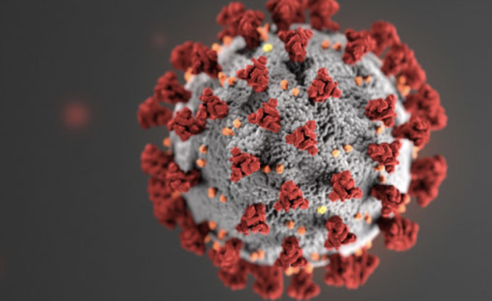 美生物公司首批试验性新冠病毒疫苗将于4月份启动人体试验