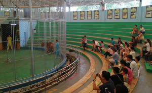 广州动物园取消历时24年马戏表演，马戏团不肯搬双方正沟通