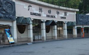 广州动物园再发声明：广德县驯兽杂技团严重违反合同擅自经营