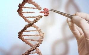CRISPR专利之争出现新对手：默克集团子公司获欧洲专利