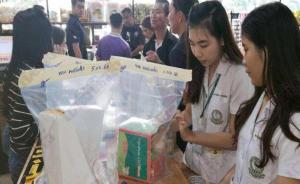 泰国清迈一纪念品店违规卖药给中国游客：镇痛贴贴脸致皮疹