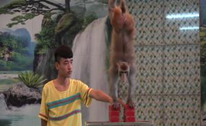广州动物园叫停马戏团表演后的“论争”