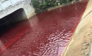 江西九江学院门前河水“红如血”原因查实：系上游杀猪场排污