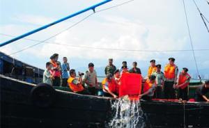 海南海警首次查获非法猎捕珍贵濒危野生动物苏眉鱼，4人被抓