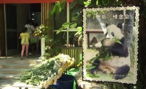 中外粉丝送别“最长寿圈养大熊猫”巴斯