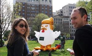 “特朗普鸡”现身白宫附近，美媒：抗议特朗普时就能派上用场