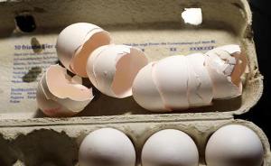 “毒鸡蛋”风波后：欧盟达成19项措施应对食品安全问题