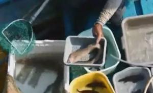从市场买来的深海大鱼含有罕见毒素，珠海一家误食六人中毒