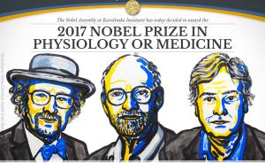 霍尔等3名美国科学家获生理学或医学诺奖：发现生物钟机制