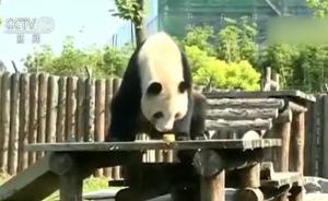 江苏淮安:动物园里“喜迎”中秋佳节